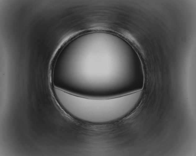 X0000086941376200704161025