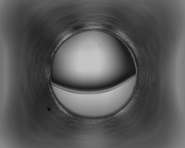 X0000086941377200704161025