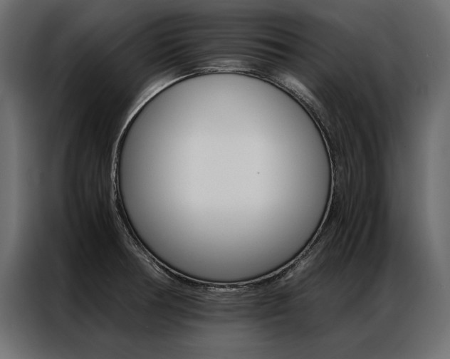 X0000086941378200704161025