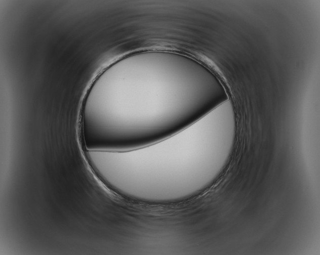 X0000086941379200704161025