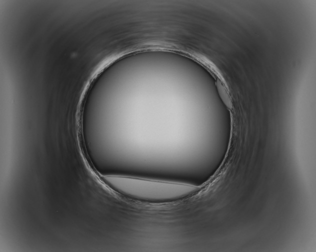 X0000086941381200704161025