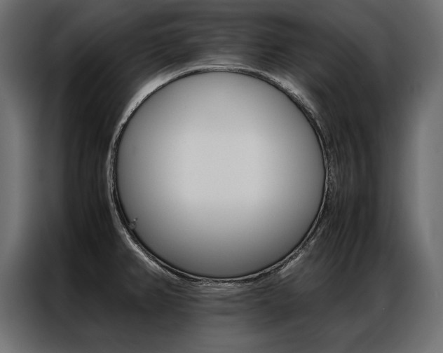 X0000086941382200704161025