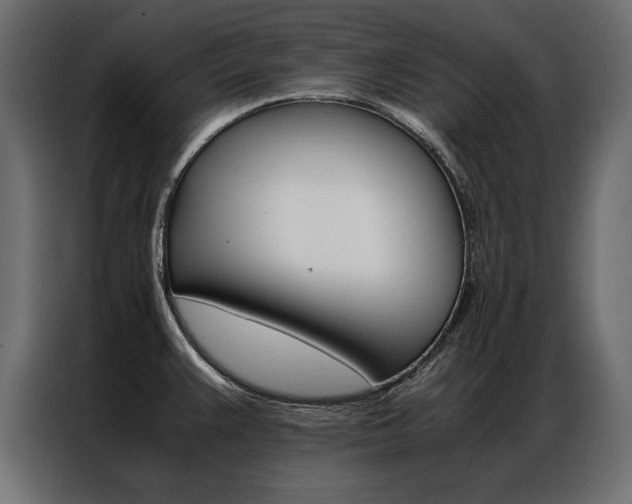 X0000086941383200704161025