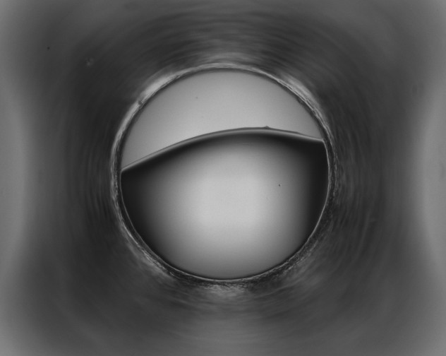 X0000086941384200704161025