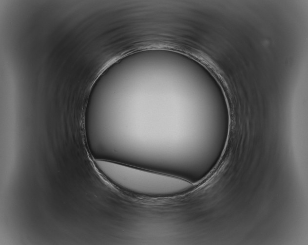 X0000086941385200704161025