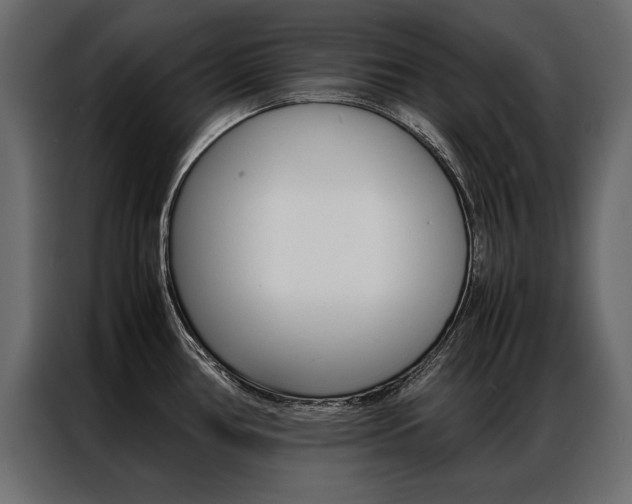 X0000086941386200704161025