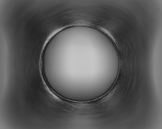 X0000086941387200704161025