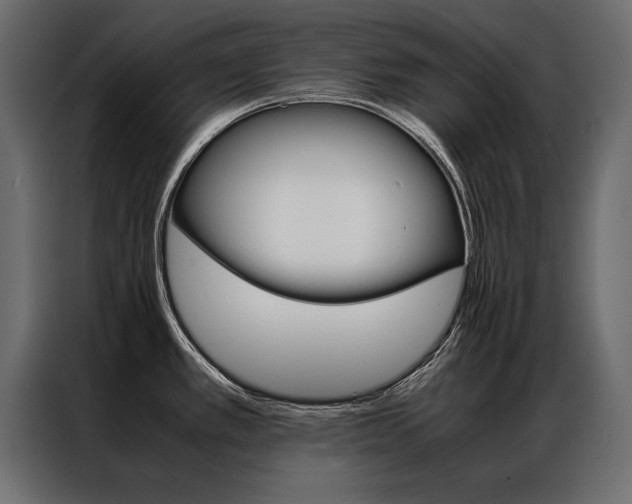 X0000086941389200704161025