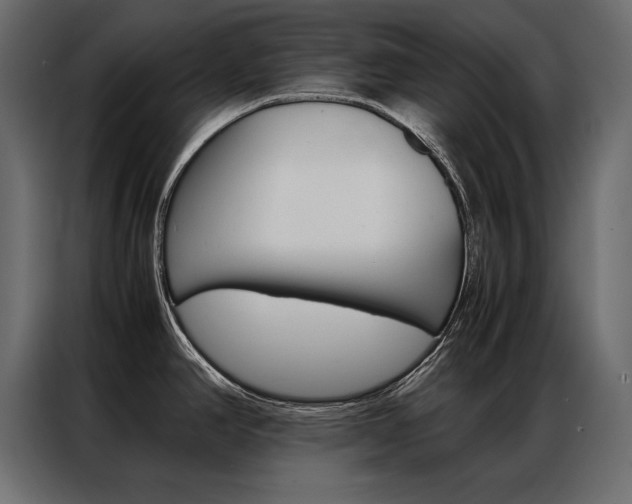 X0000086941390200704161025