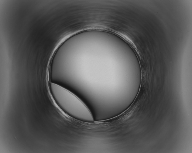 X0000086941391200704161025