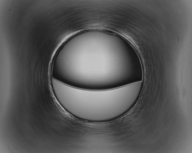 X0000086941392200704161025