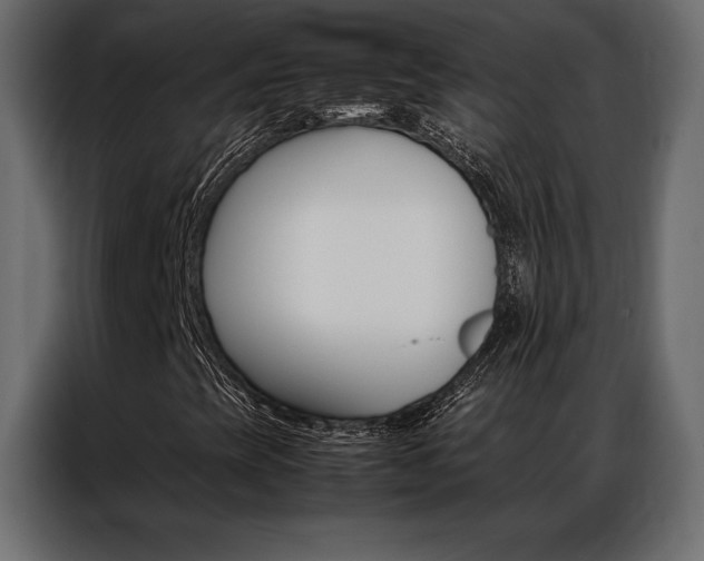X0000086941393200704161024
