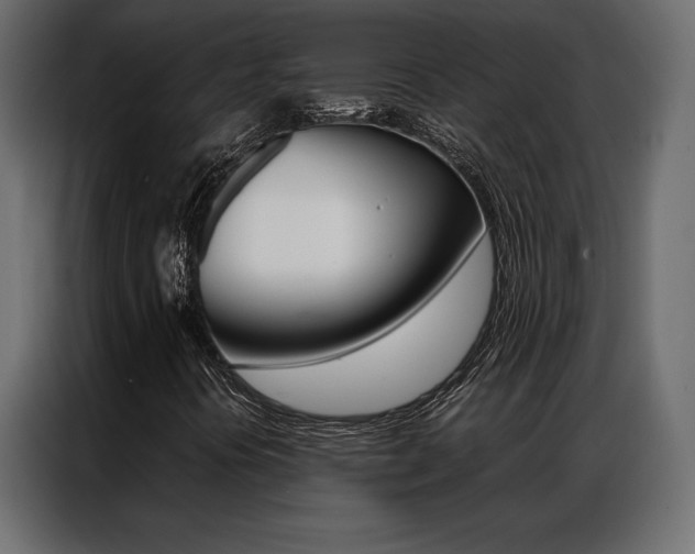 X0000086941394200704161024