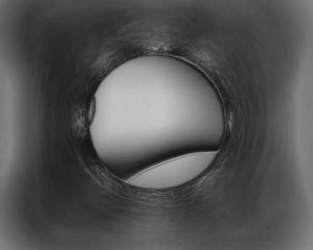 X0000086941396200704161024