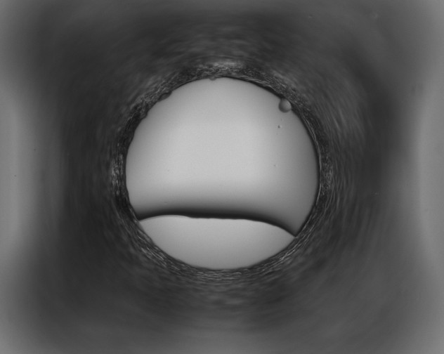 X0000086941397200704161024