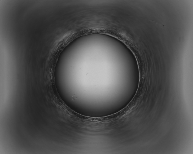 X0000086941398200704161024