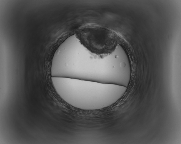 X0000086941399200704161024