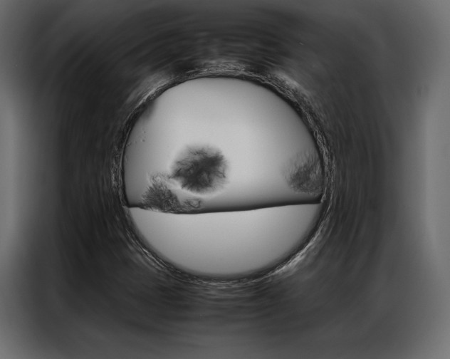 X0000086941401200704161024