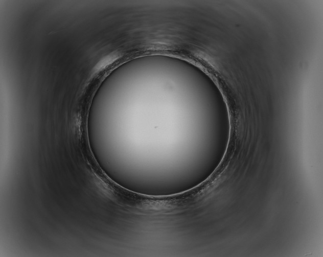 X0000086941402200704161024