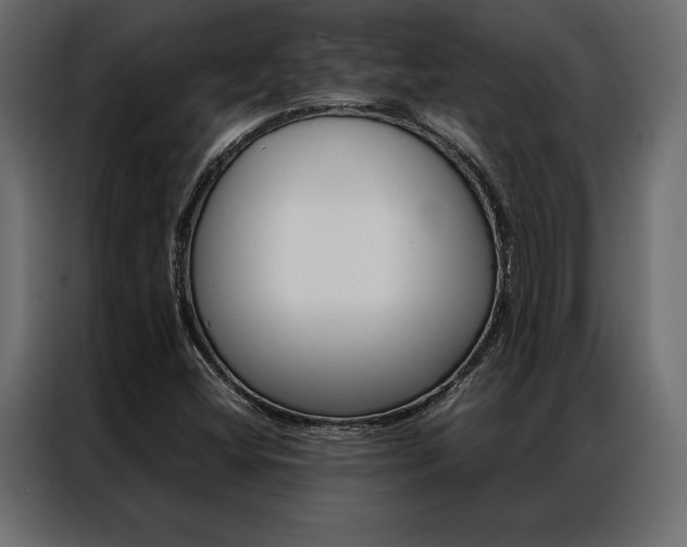 X0000086941404200704161024