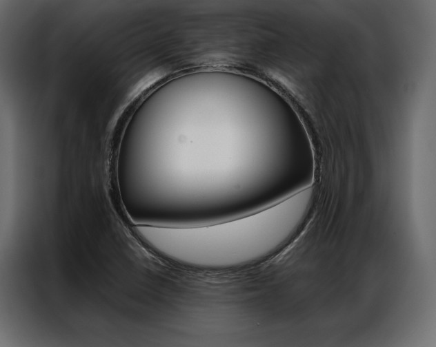 X0000086941410200704161024