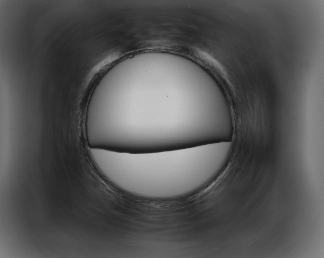 X0000086941411200704161024