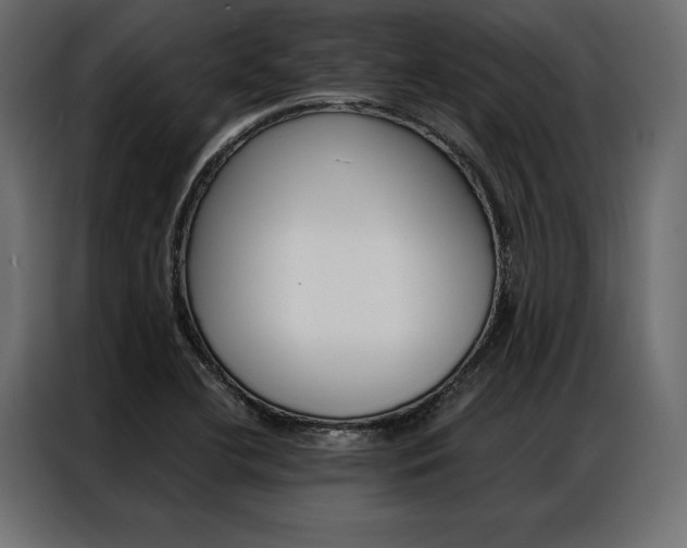 X0000086941412200704161024