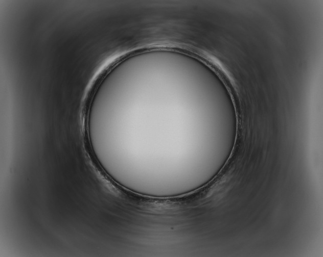 X0000086941416200704161025