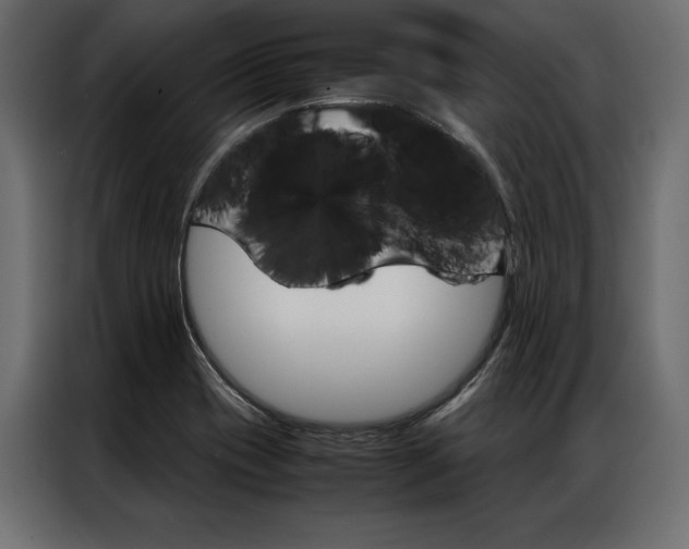 X0000086941417200704161025