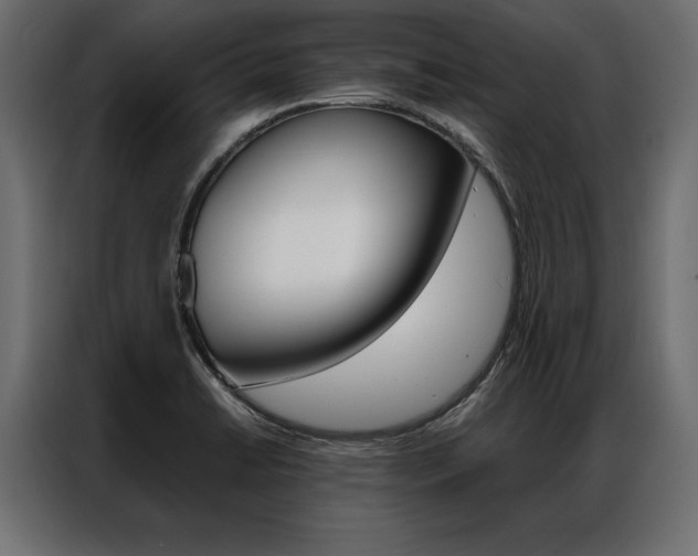X0000086941422200704161025
