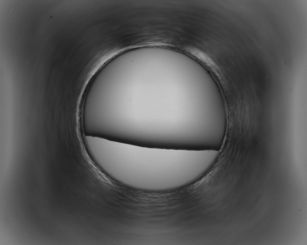 X0000086941423200704161025