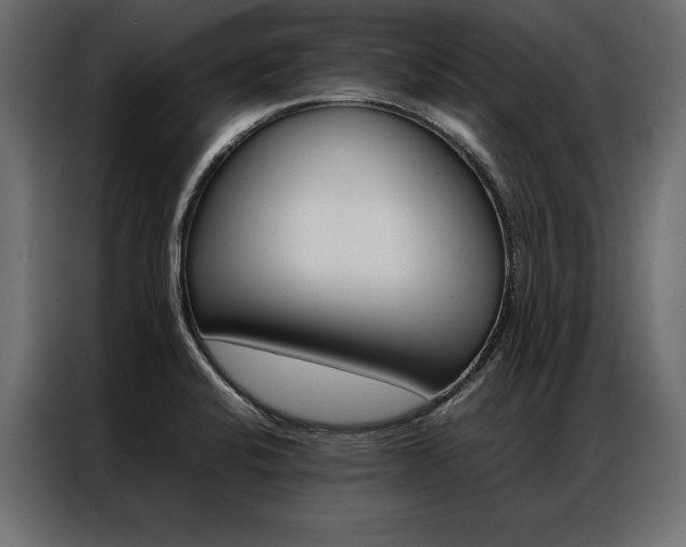 X0000086941424200704161025