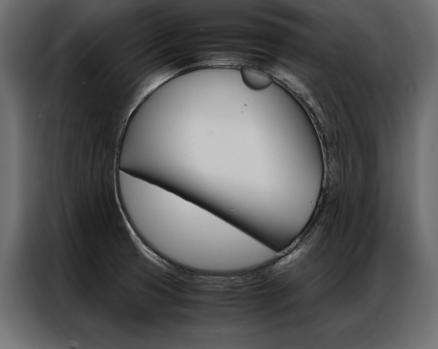 X0000086941425200704161025