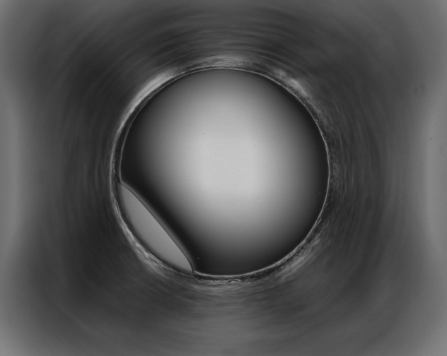 X0000086941426200704161025
