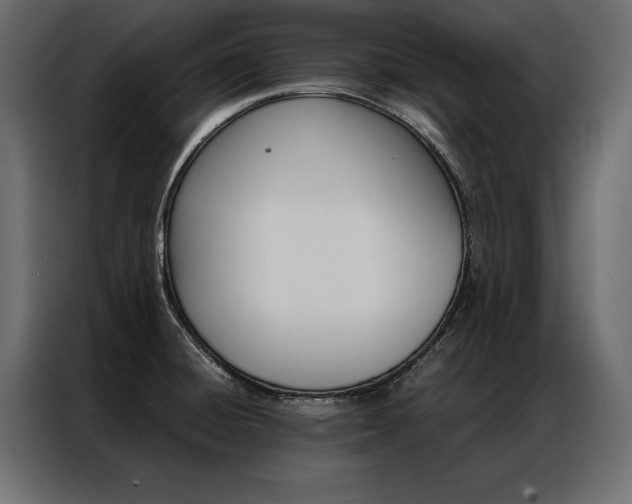 X0000086941428200704161025