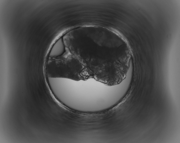 X0000086941429200704161025