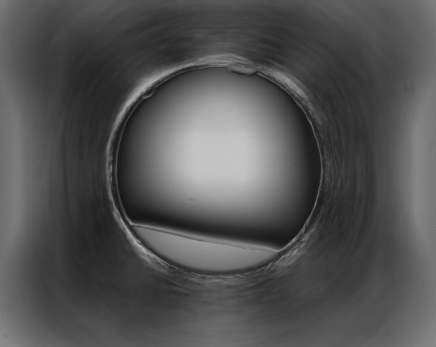 X0000086941430200704161025
