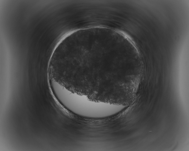 X0000086941431200704161025