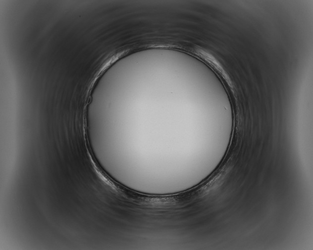 X0000086941433200704161025