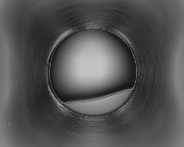 X0000086941434200704161025