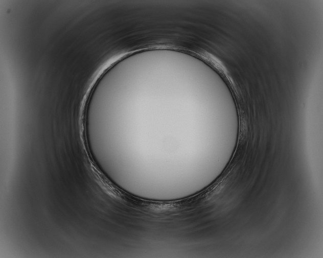 X0000086941435200704161025