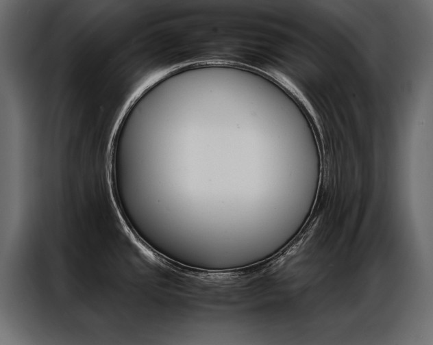 X0000086941437200704161025