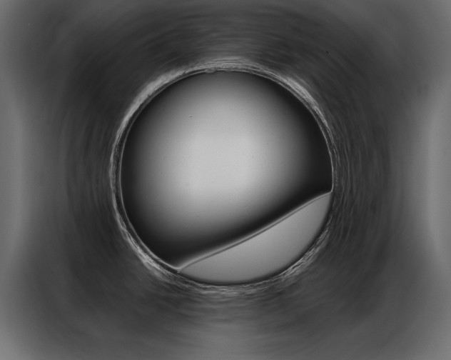 X0000086941438200704161025