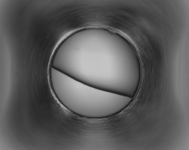 X0000086941440200704161025
