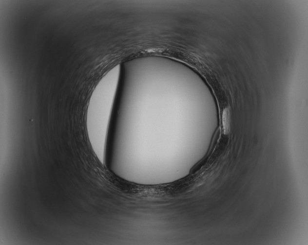 X0000086941443200704161024