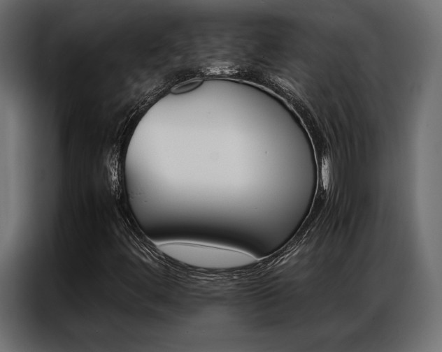 X0000086941444200704161024