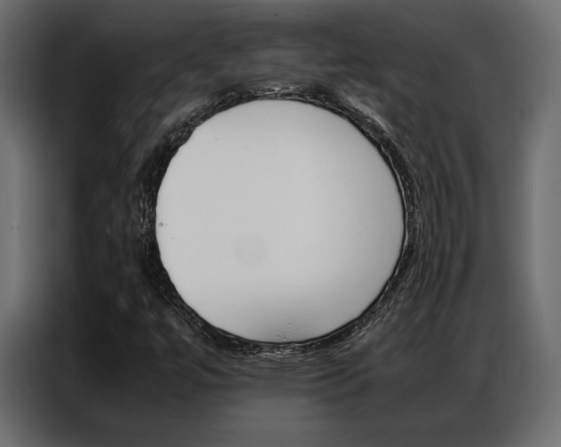X0000086941447200704161024
