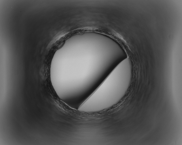 X0000086941448200704161024