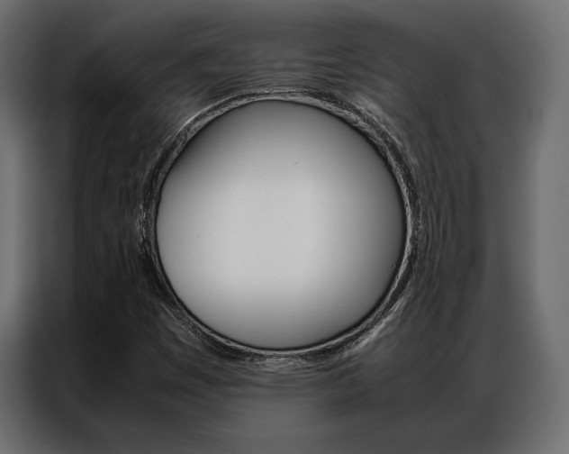 X0000086941449200704161024