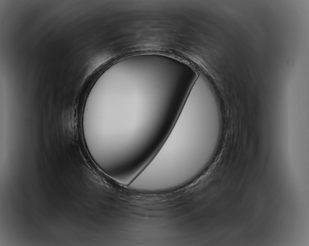 X0000086941450200704161024
